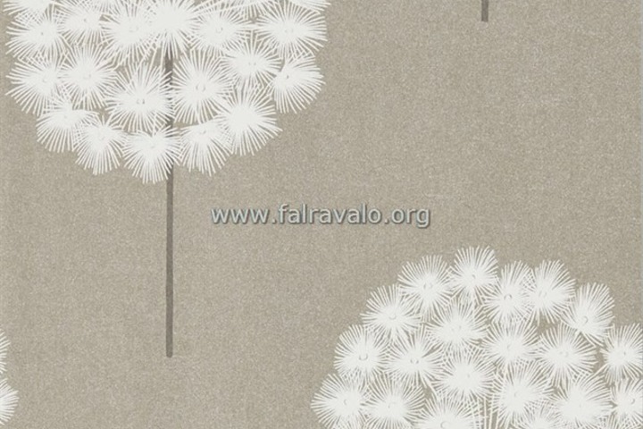 Paloma
