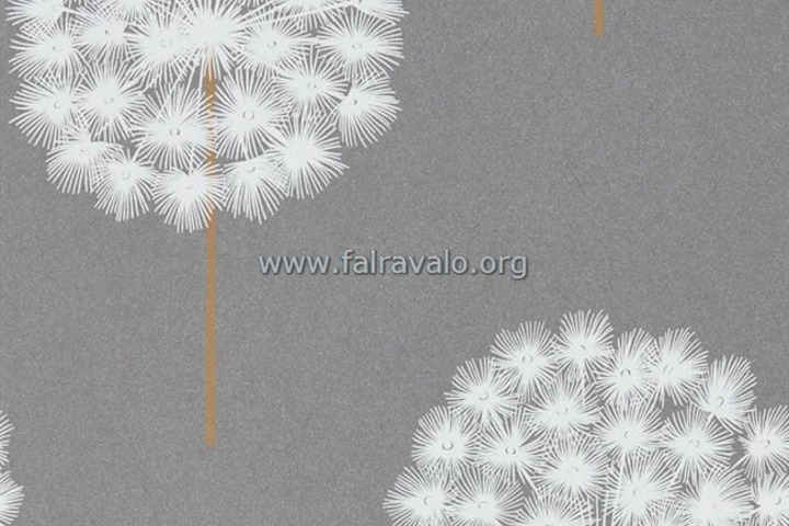 Paloma