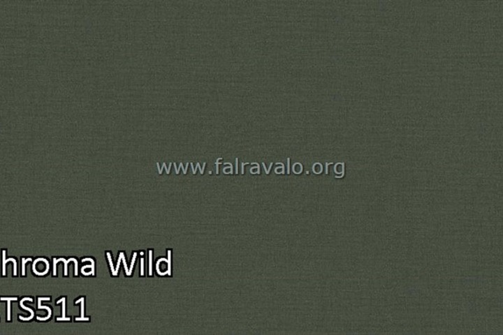 Wild