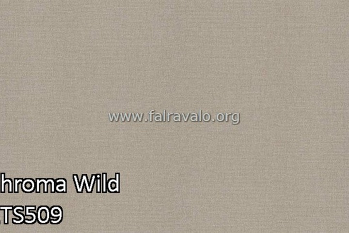 Wild