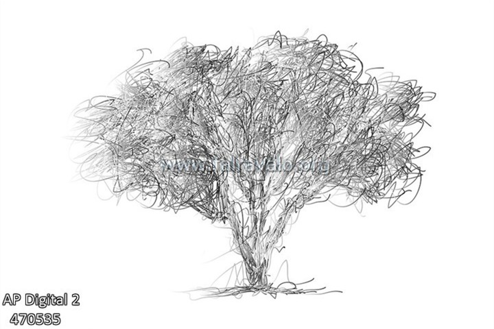 AP Digital 2