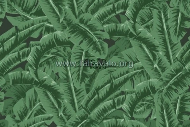 Jungle Fever