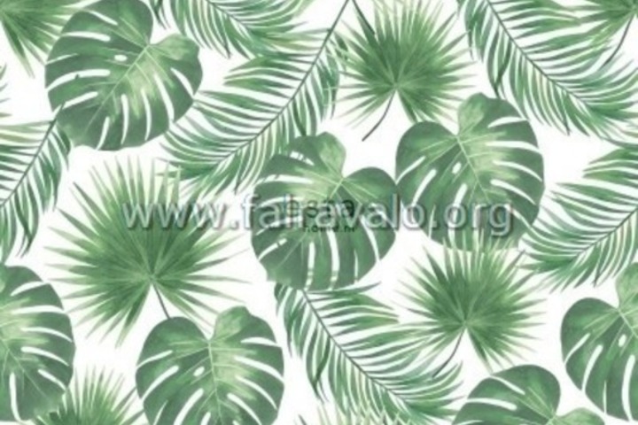 Jungle Fever