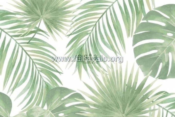 Jungle Fever