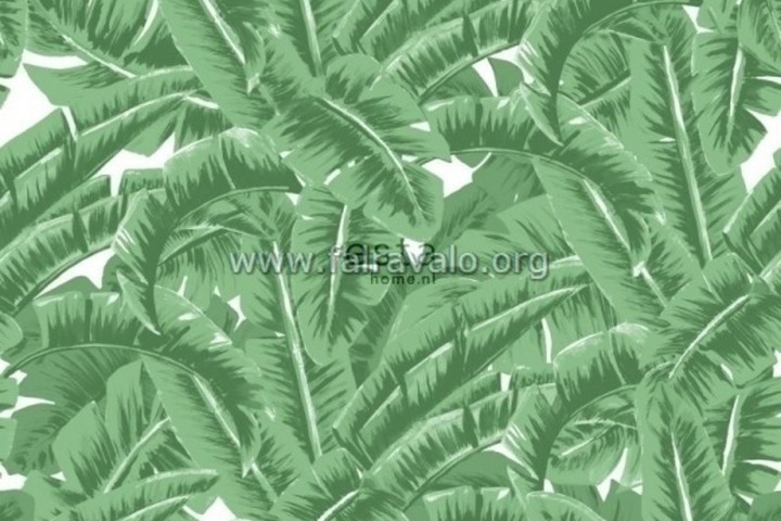 Jungle Fever