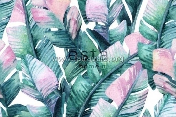 Jungle Fever