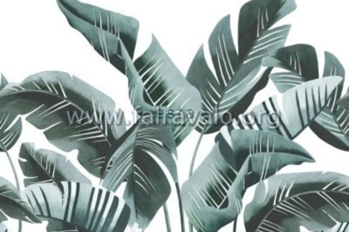 Jungle Fever