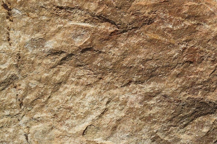 POSZTER MS-3 ( 225X250 )