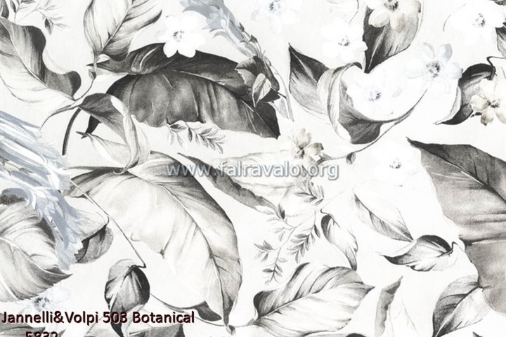 503 Botanical