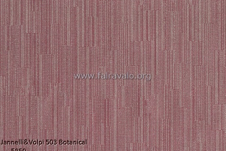 503 Botanical