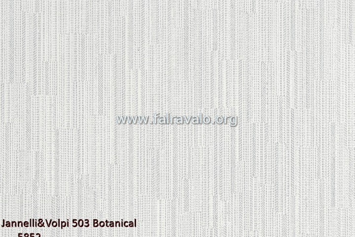 503 Botanical