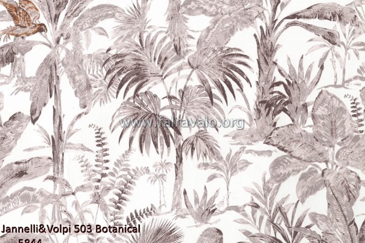 503 Botanical