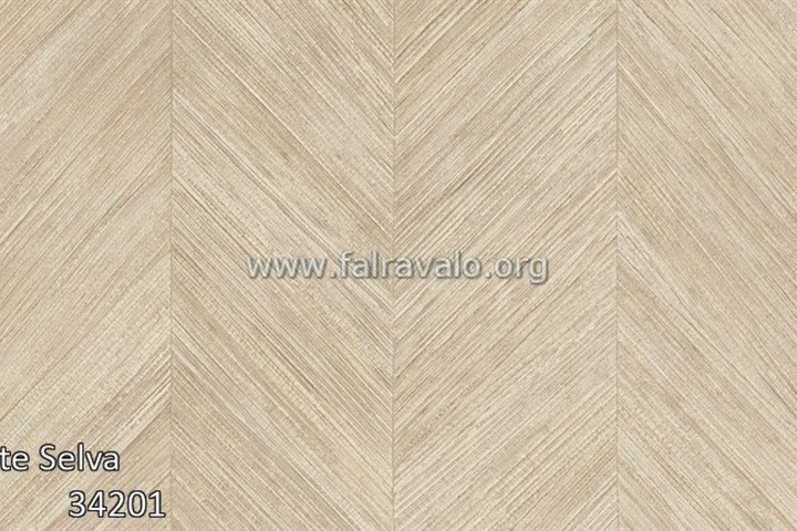 Selva