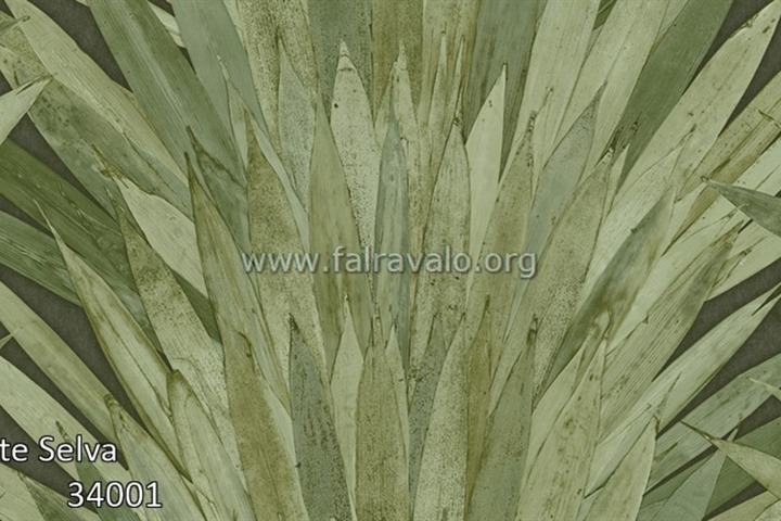 Selva