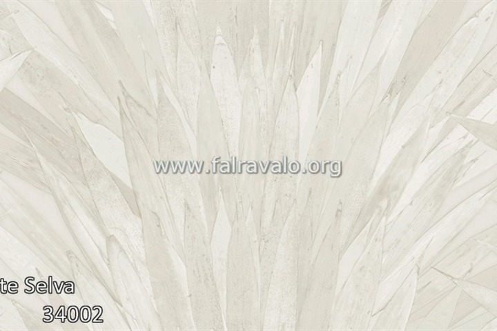 Selva