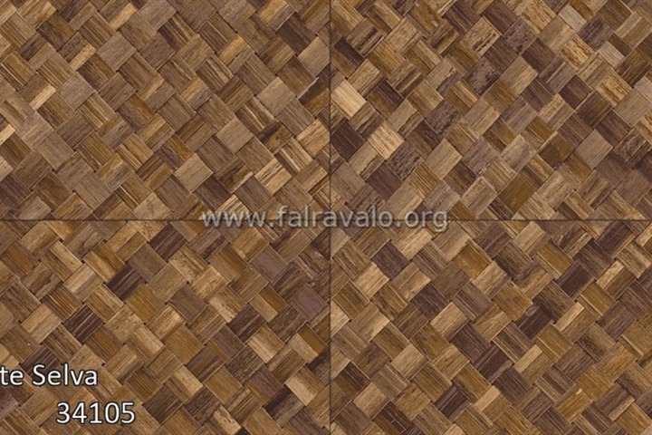 Selva