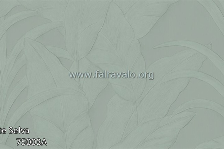 Selva