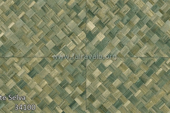 Selva