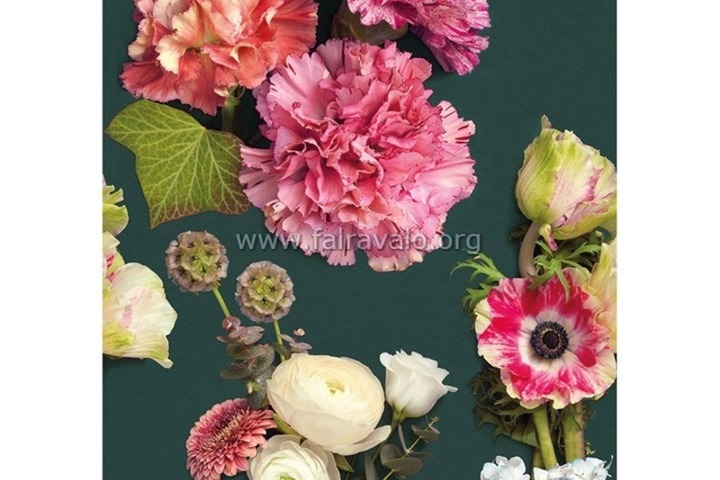 Beauty full image