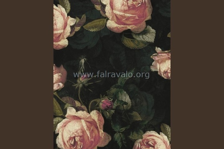 Beauty full image