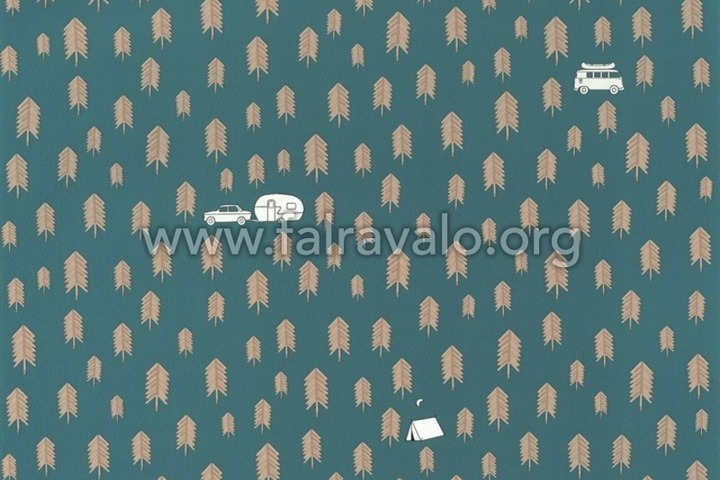 Our Planet
