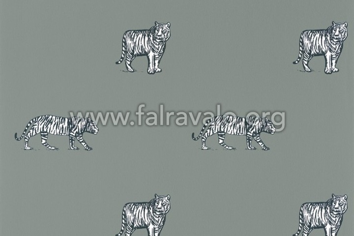 Our Planet