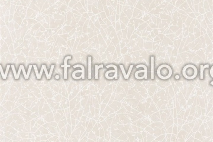 So White 4