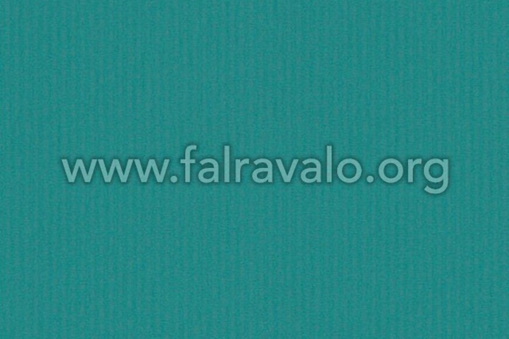 Coloretto 2