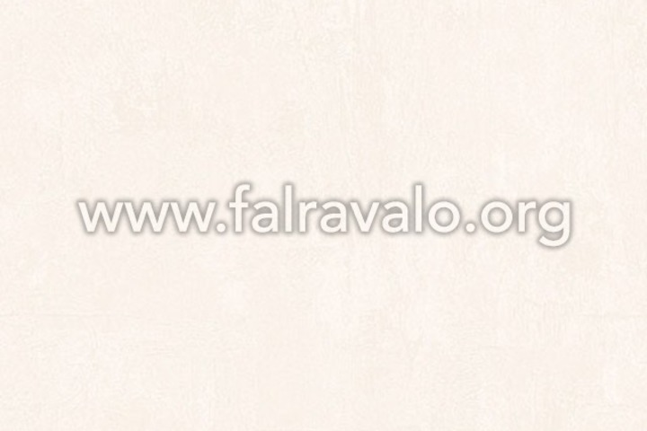 Coloretto 2