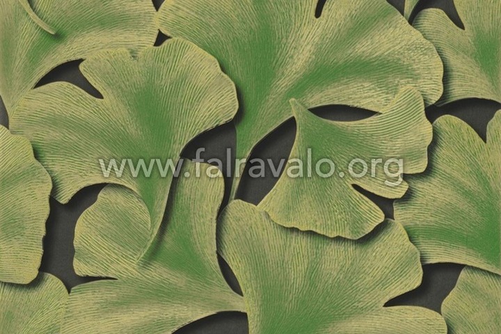 Ginko