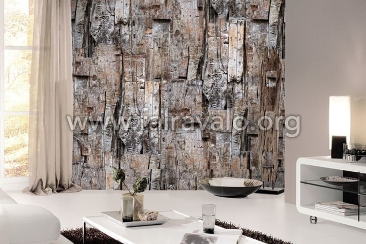 Passion for Materials