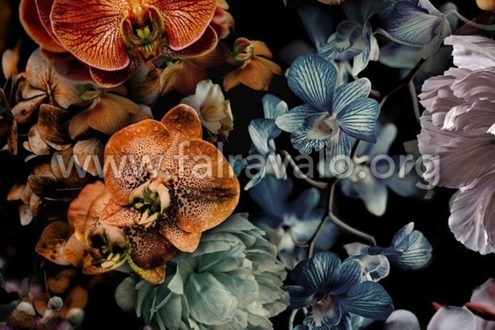 Smart Art Gallery Select