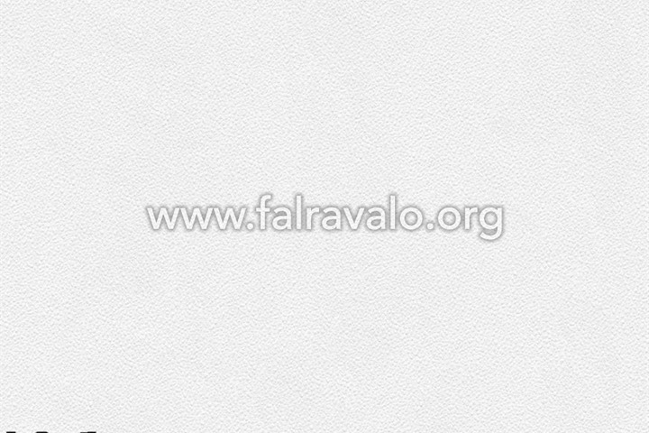 111 Shades of  White