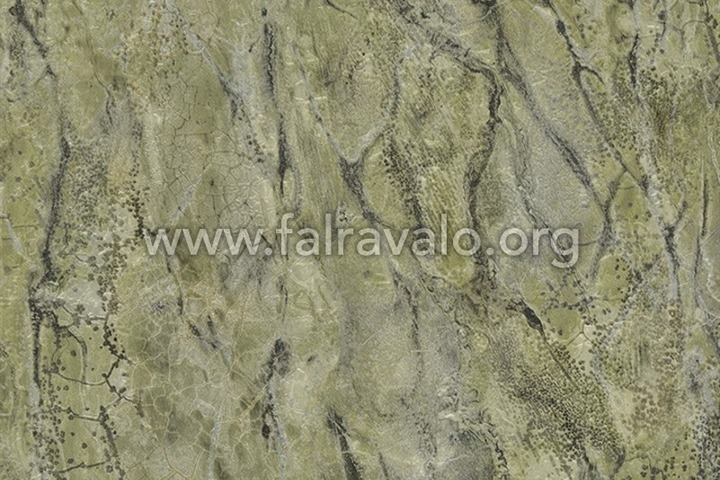 Carrara 3