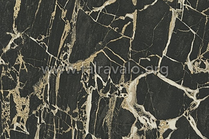 Carrara 3