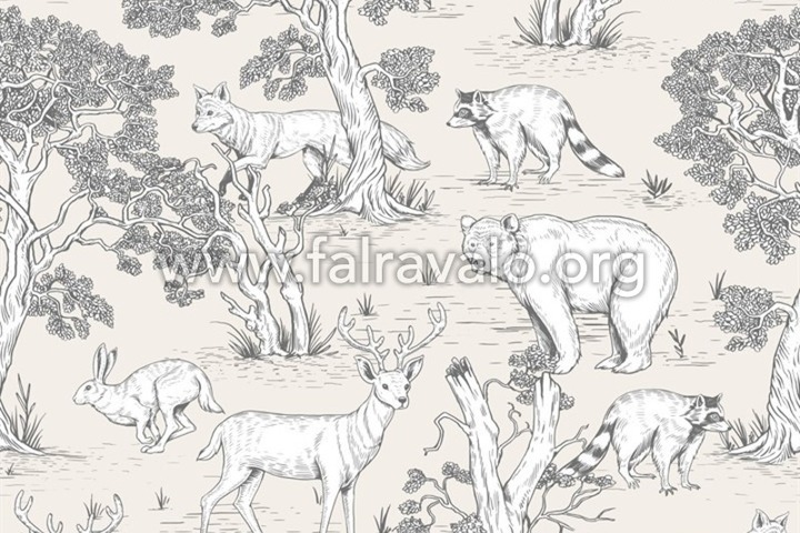 Kids Walls