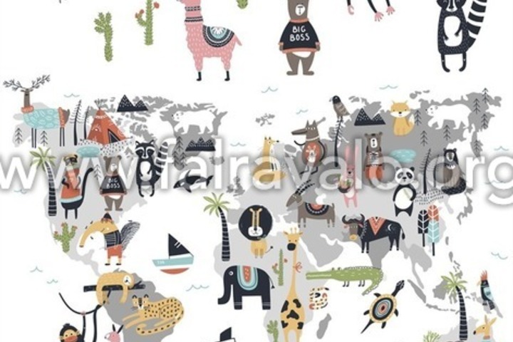 Kids Walls