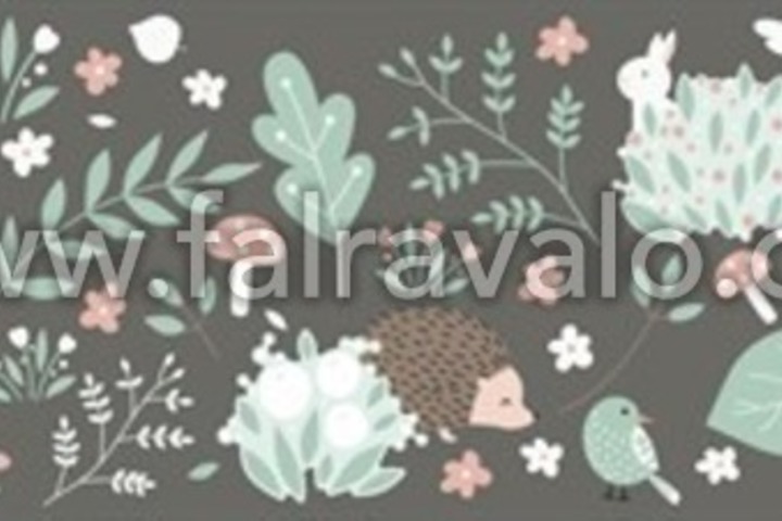 Kids Walls