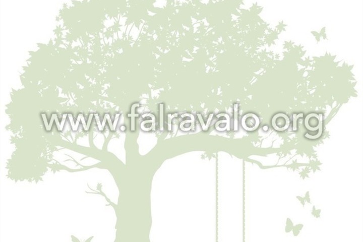 Kids Walls