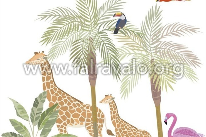 Kids Walls