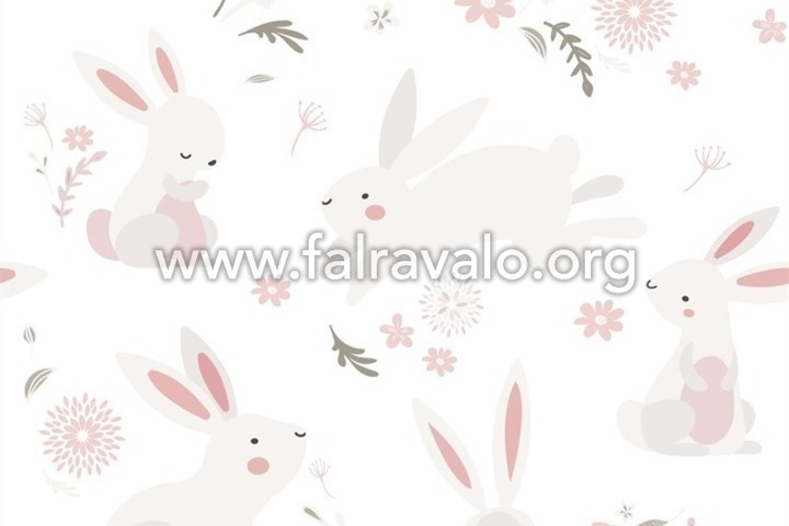 Kids Walls