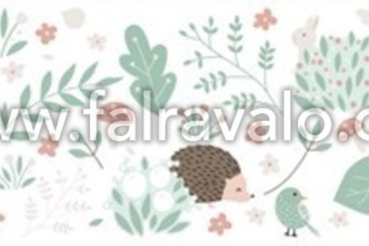 Kids Walls