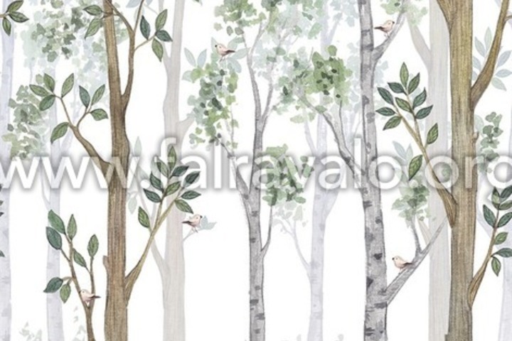 Kids Walls