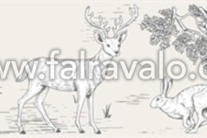 Kids Walls