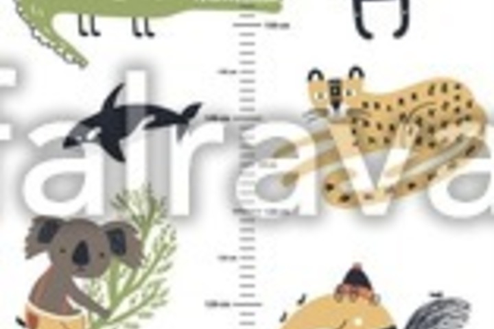 Kids Walls
