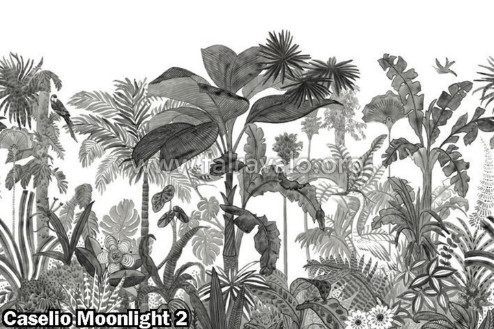 Moonlight 2