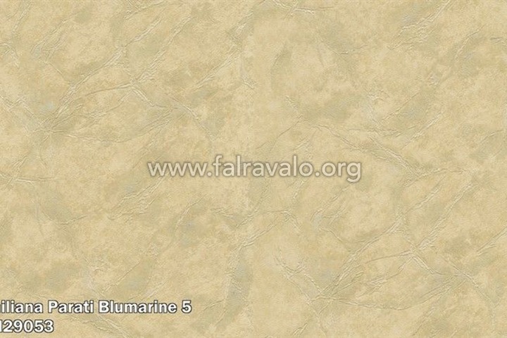 Blumarine 5
