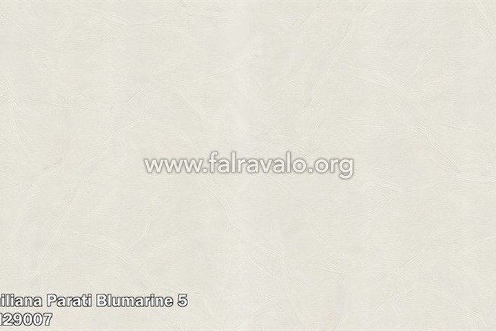 Blumarine 5