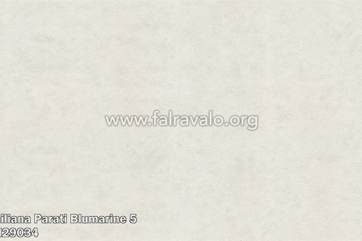 Blumarine 5