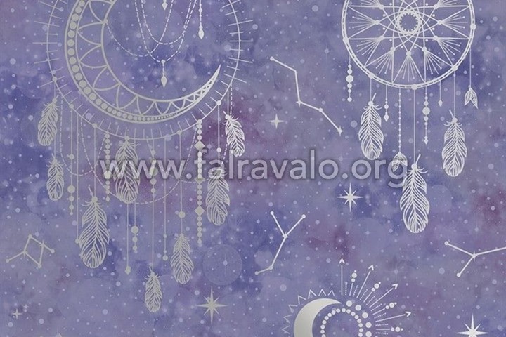 Dream Catcher